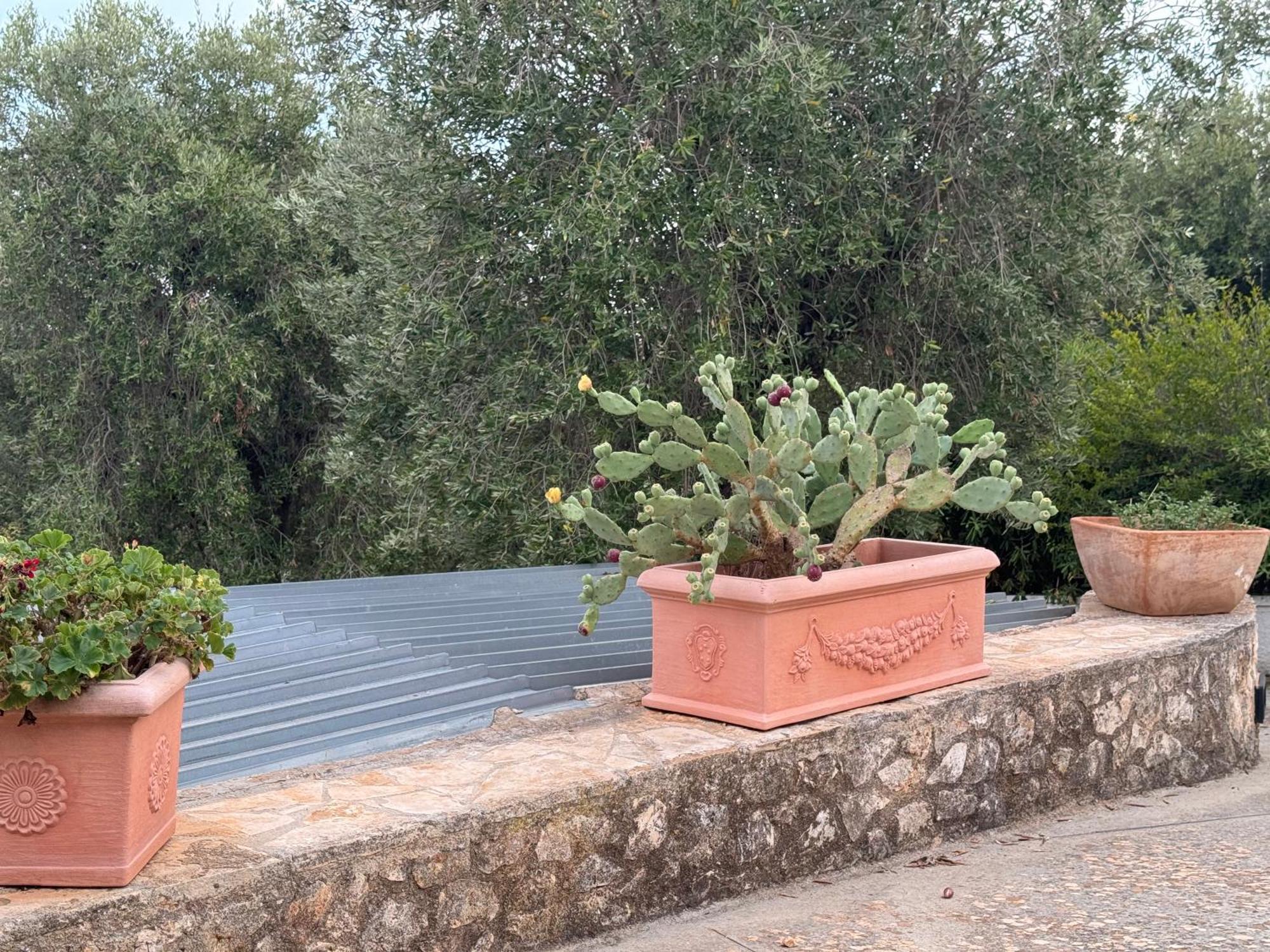 Home A&G Contrada Fumarola Ostuni Dış mekan fotoğraf